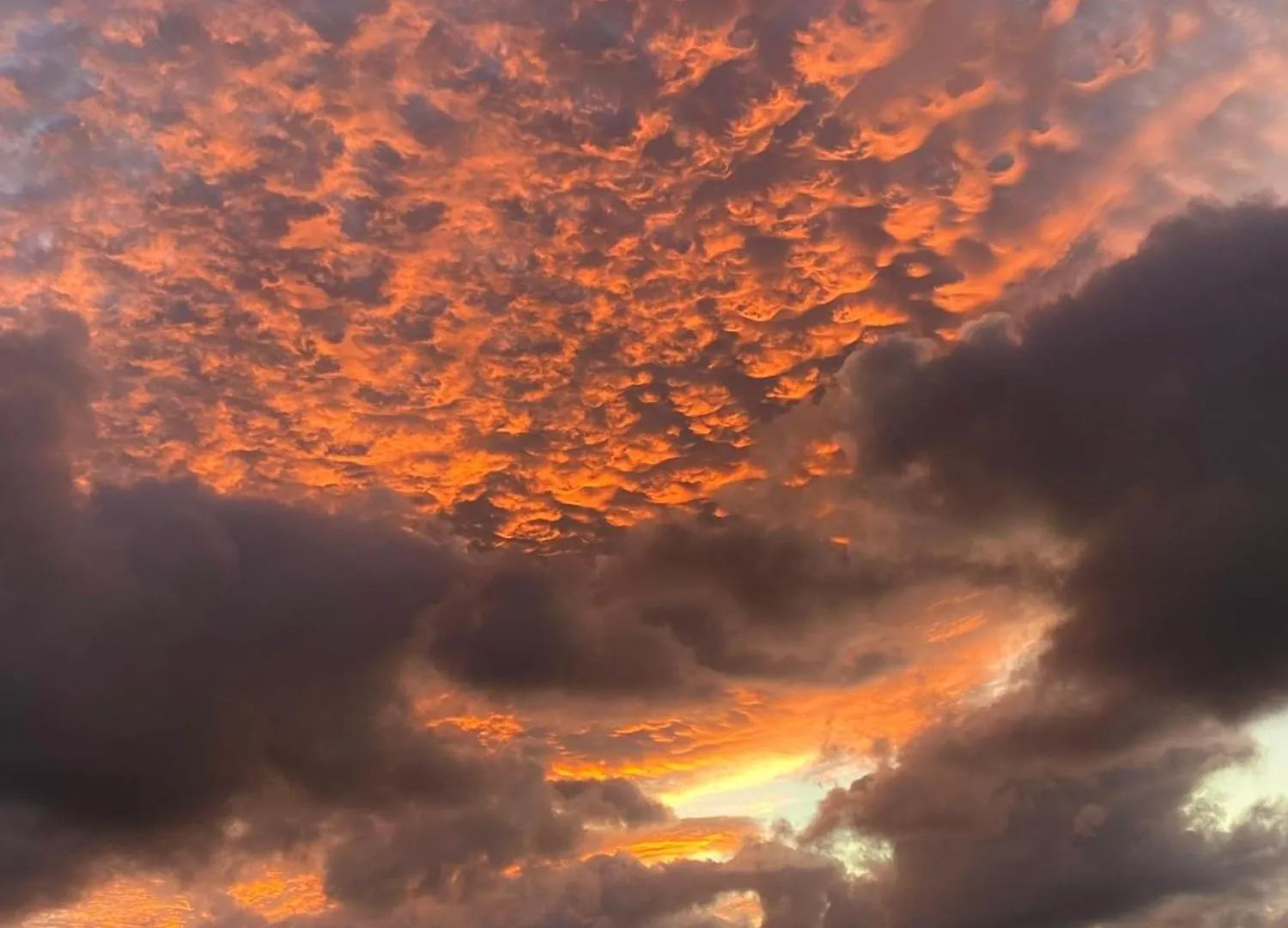 Sea&Sunset Great Balcony View Lejlighed Las Palmas de Gran Canaria